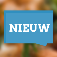 Nieuwe artikelen
