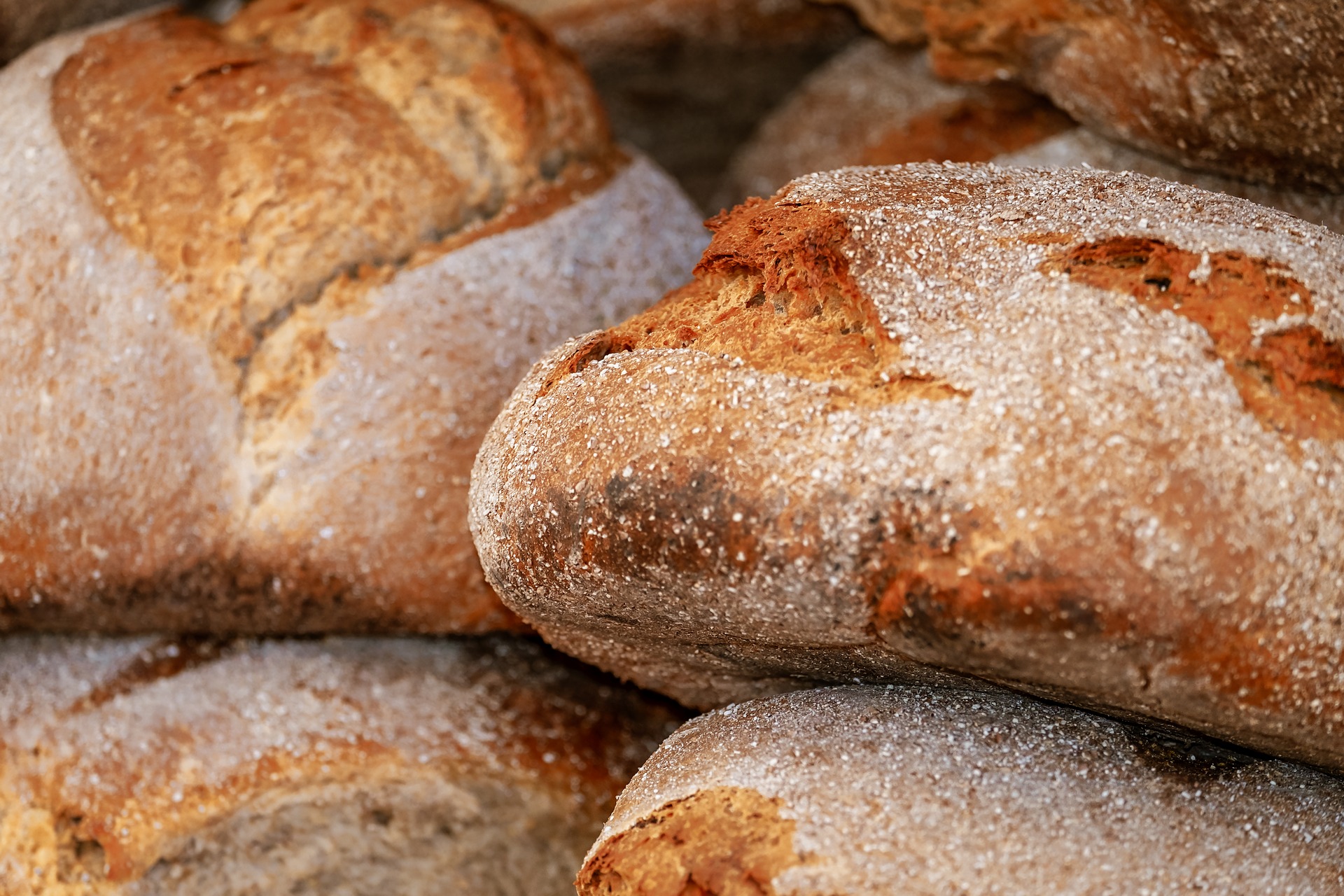 Vers gebakken glutenvrij brood bestel je direct in onze glutenvrije webshop. Je kunt natuurlijk ook je inkopen doen in onze glutenvrije supermarkt in Apeldoorn. Hartelijk welkom!